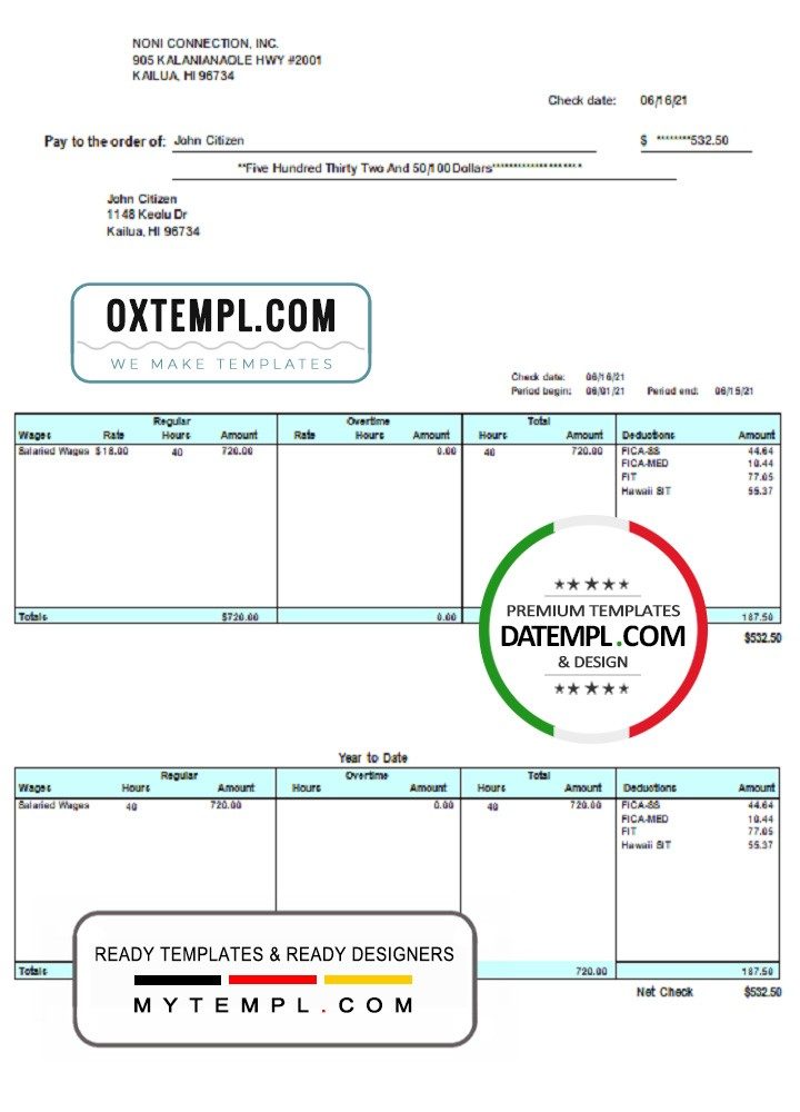 USA HI pay stub example in Word and PDF format, fully editable