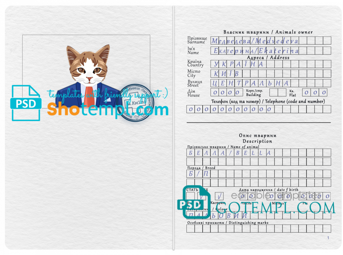 free download Ukrainian cat (animal, pet) passport PSD example, fully editable